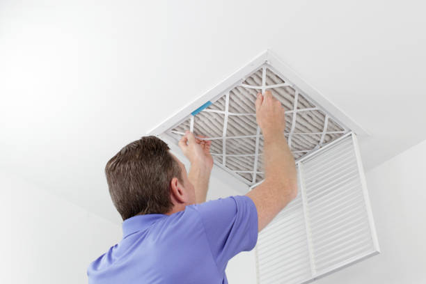 Best Mold and Mildew Removal from Ducts in USA